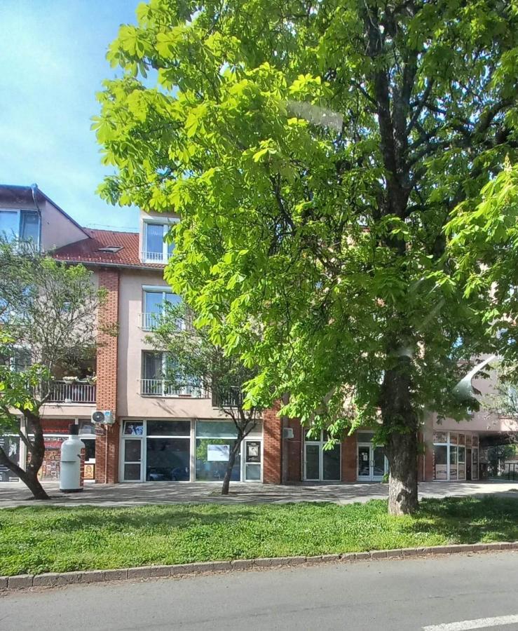Rozsa Apartman Keszthely Exterior foto